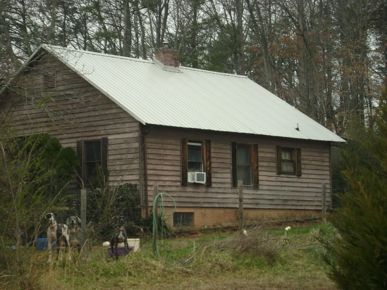 White metal roof on an old wood sided farmhouse, from a Asphalt Shingle Roof Repair job in Bellevue